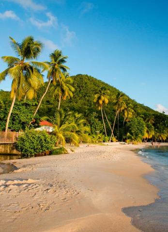 Les plages incontournables à découvrir à proximité de votre hôtel
